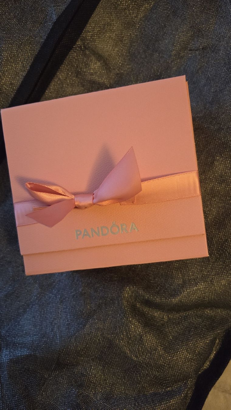 Pandora Armbänder & -reifen: Pandora Charms  – Neu und originalverpackt aus Gossau SG von sar_7vt5 3