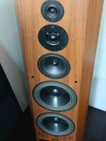 T+A Criterion TMR 160 MK II High-End Lautsprecher