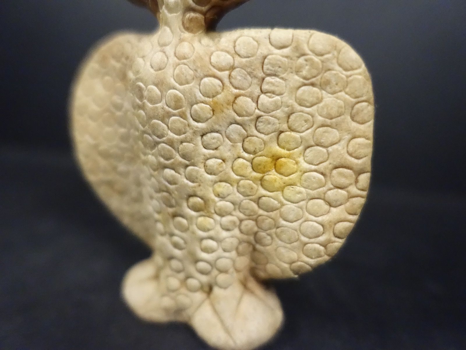 Statuette: Eule aus Leder – Usato da Russikon venduto da Eulenfeder 7