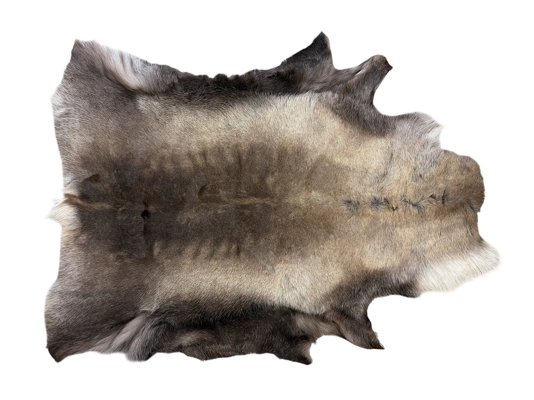 Tappeti: Echtes Rentierfell mit Silikon behandelt – Nuovo e nell'imballaggio originale da Arbedo venduto da patagonialeatherrugs 1