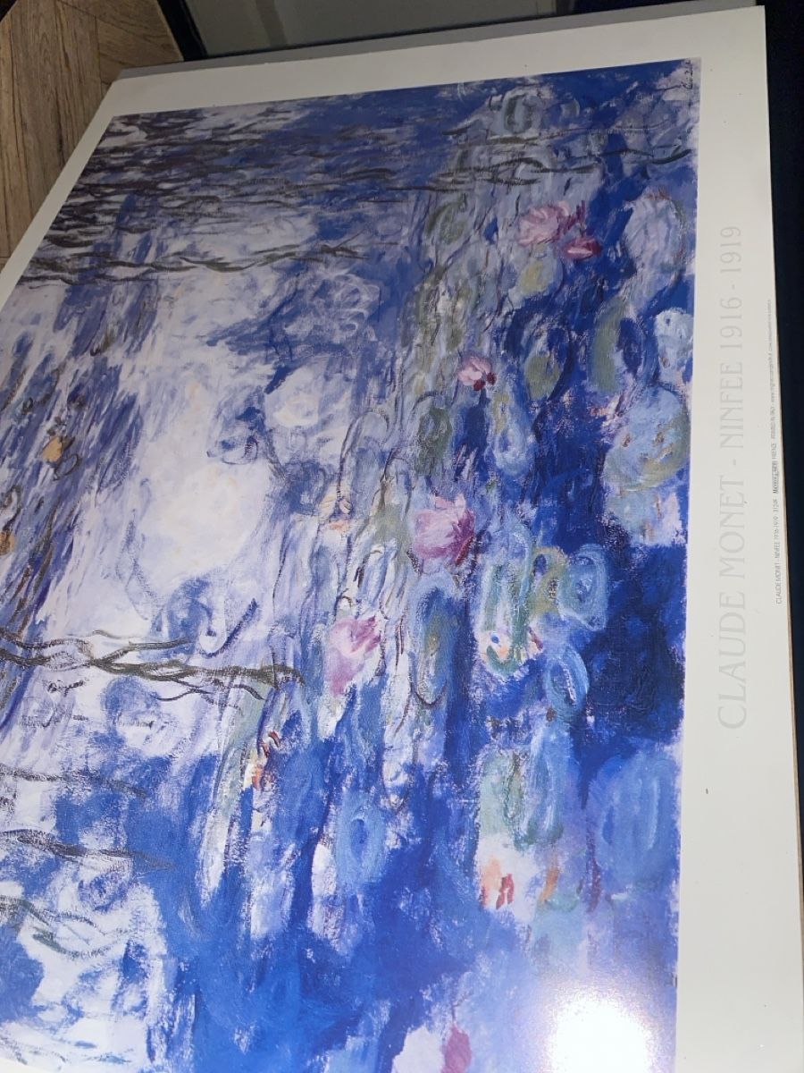 Foto & Immagini: Monet's Water Lilies Print – Usato da Dietikon venduto da Tdaf33 4