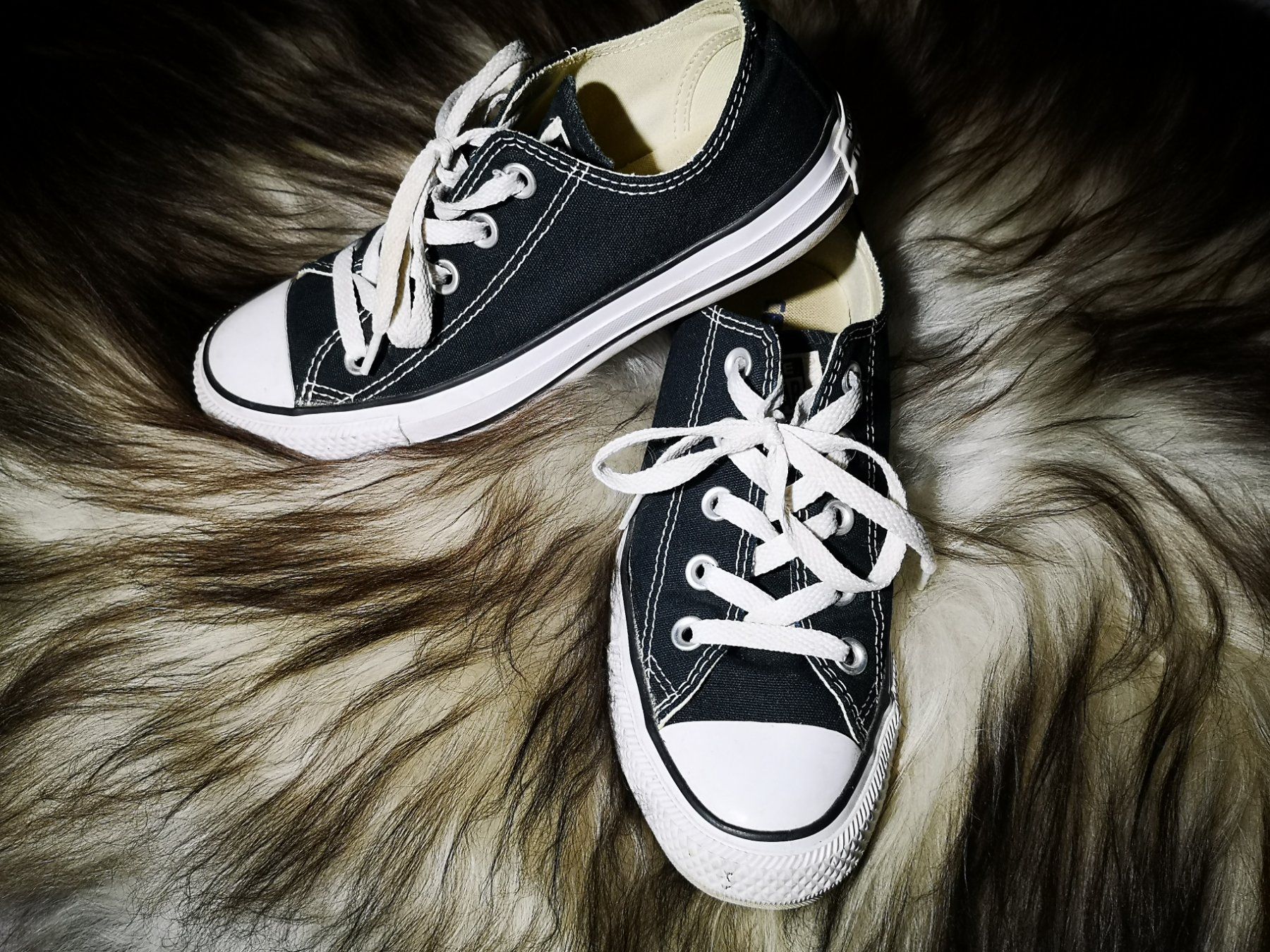 Converse Herrenschuhe: Converse All Stars – Gebraucht aus Biberist von zh2se