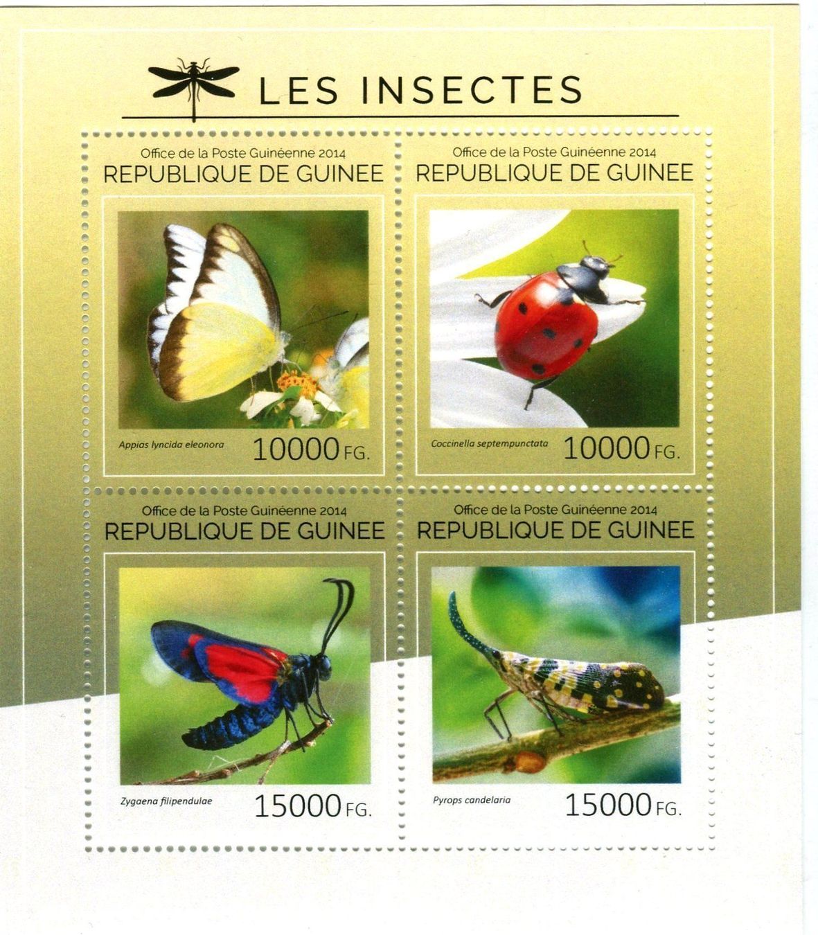 Tutti i francobolli: Block "Insekten". Guinea – Nuovo e nell'imballaggio originale da Basel venduto da Butsch5