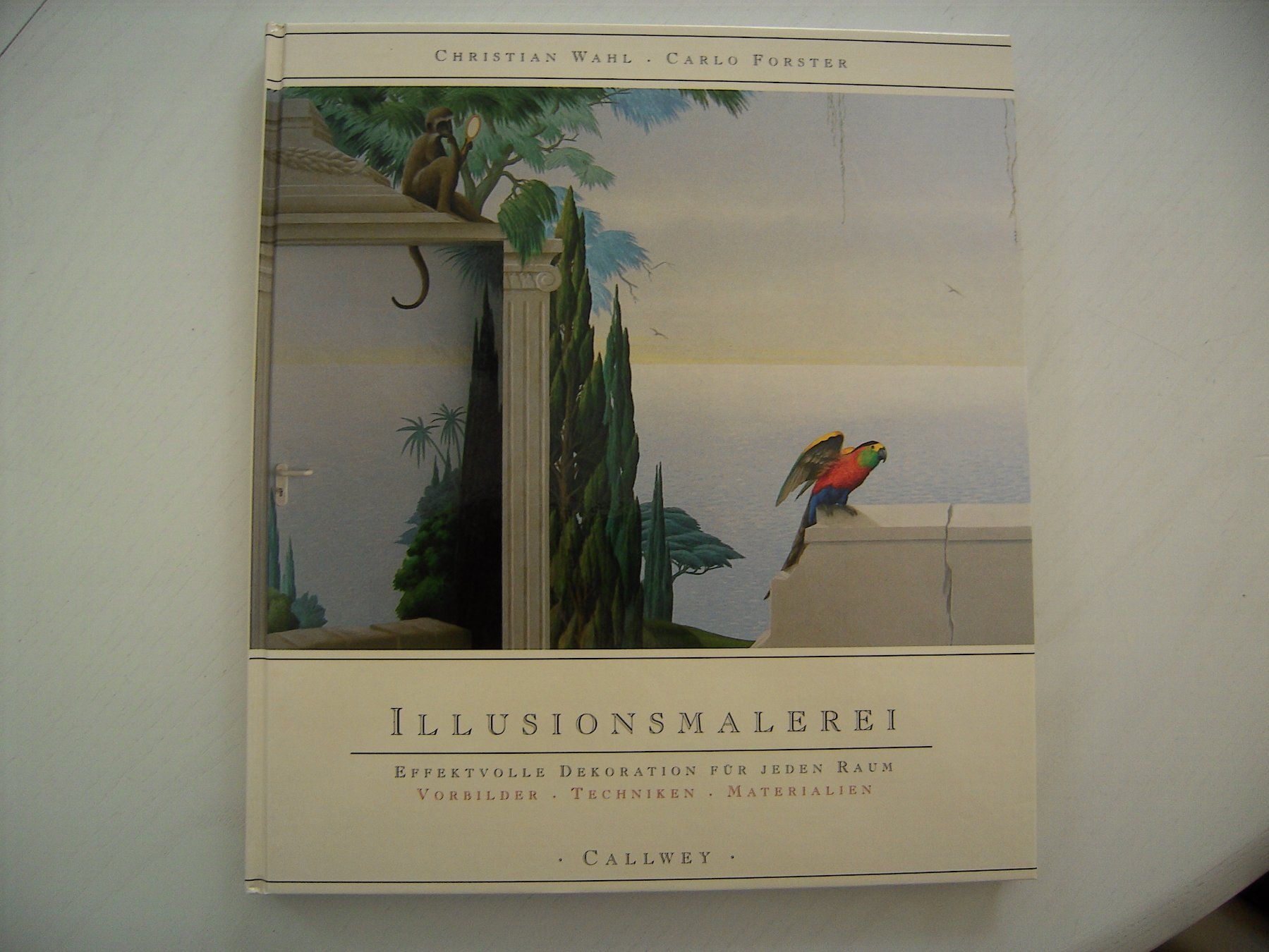 Libri: Illusionsmalerei, Buch – Usato da Buochs venduto da Jenymak