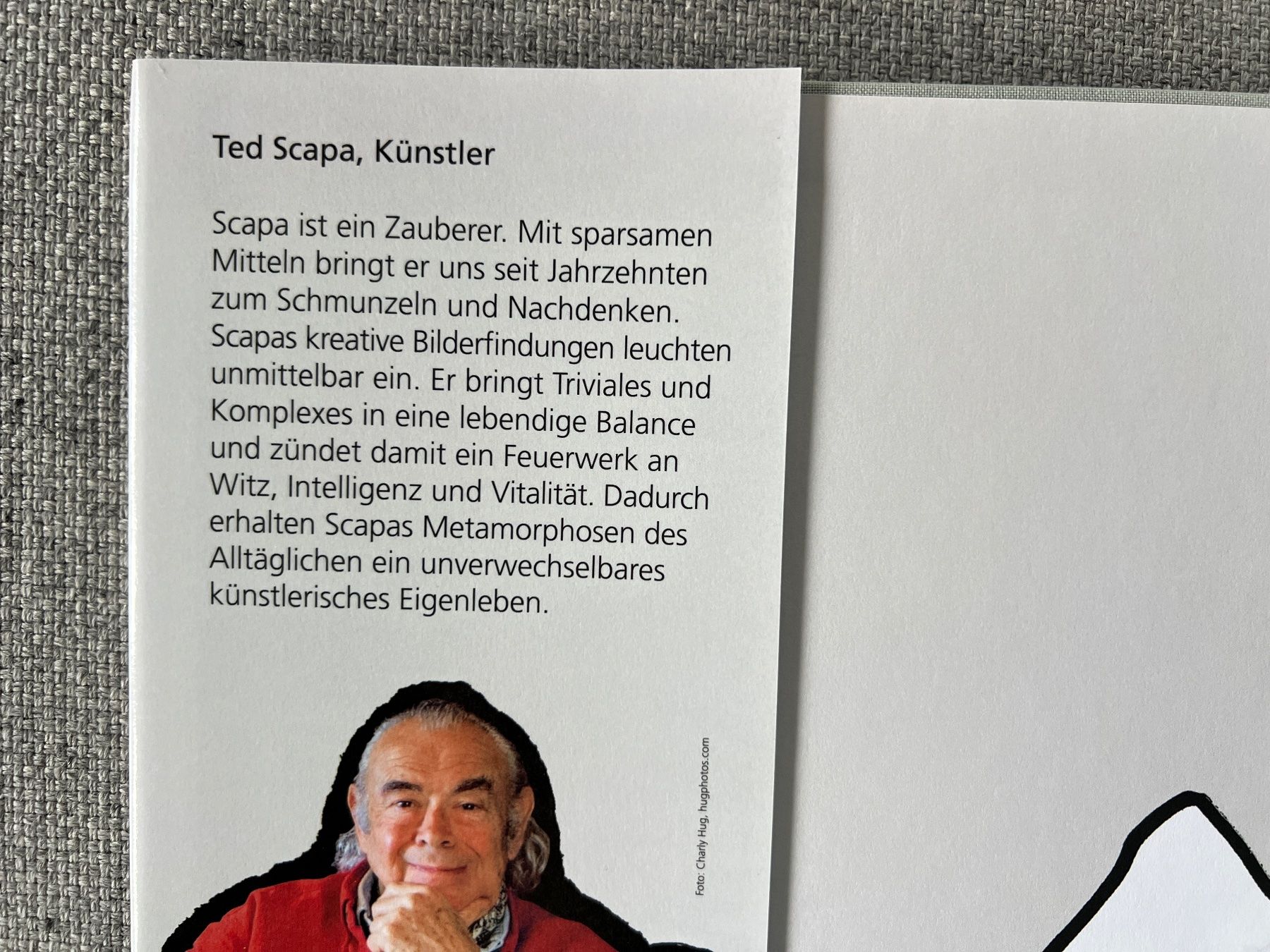 Libri: Buch Berge von Ted Scapa Kunstbuch – Usato da Ennetbaden venduto da mapa05 1