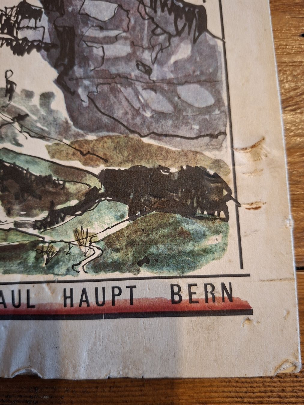 Libri: Büchlein, Der Eiger von Rudolf Rubi – Usato da Grindelwald venduto da carro5 2