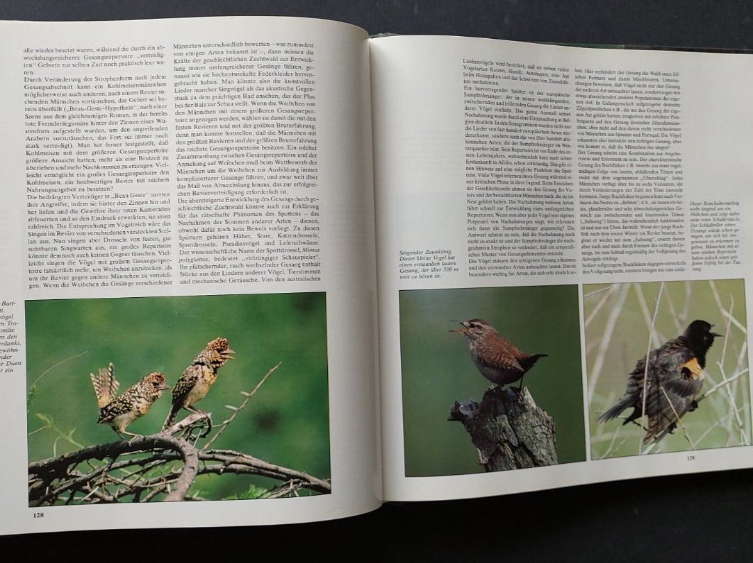 Libri: Das Leben der Vögel /Robert Burton – Usato da Zürich venduto da t24_de 6