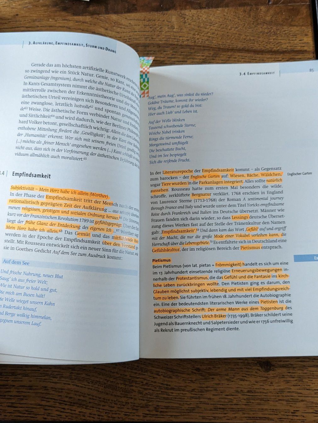 Bücher: Deutsche Literaturgeschichte - UTB basics Reiner Ruffing – Gebraucht aus Sierre von chia17 3