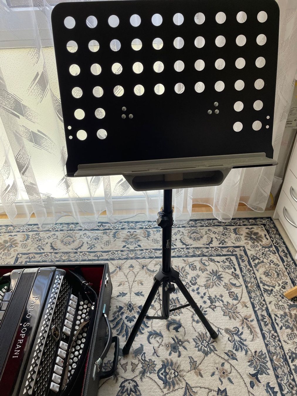 Paolo Soprani Strumenti musicali: Akkkordeon – Usato da Steffisburg venduto da Ls1 2