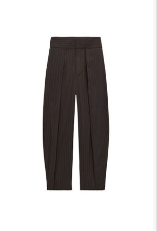 Zara pants