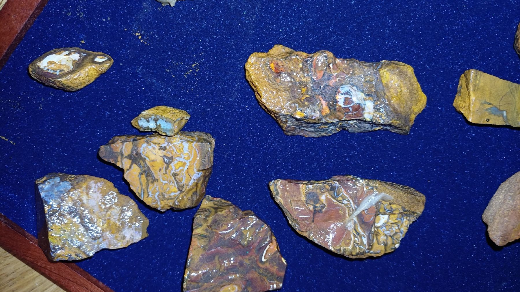 Pietre preziose: Bolder Opale 410 Gramm – Usato da Flawil venduto da Naphtali 2