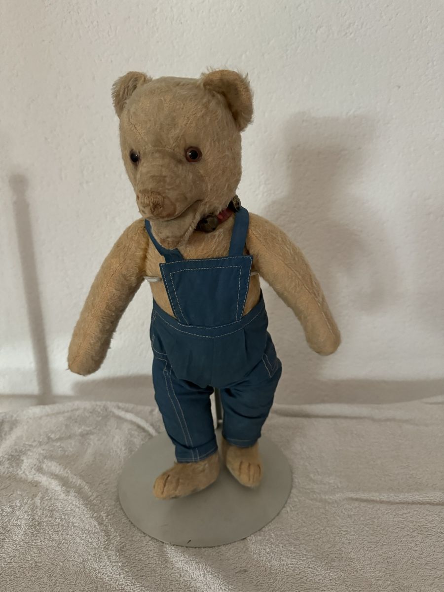 Steiff Giocattoli: Steiff Teddy – Usato da Binningen venduto da kal_5nsj