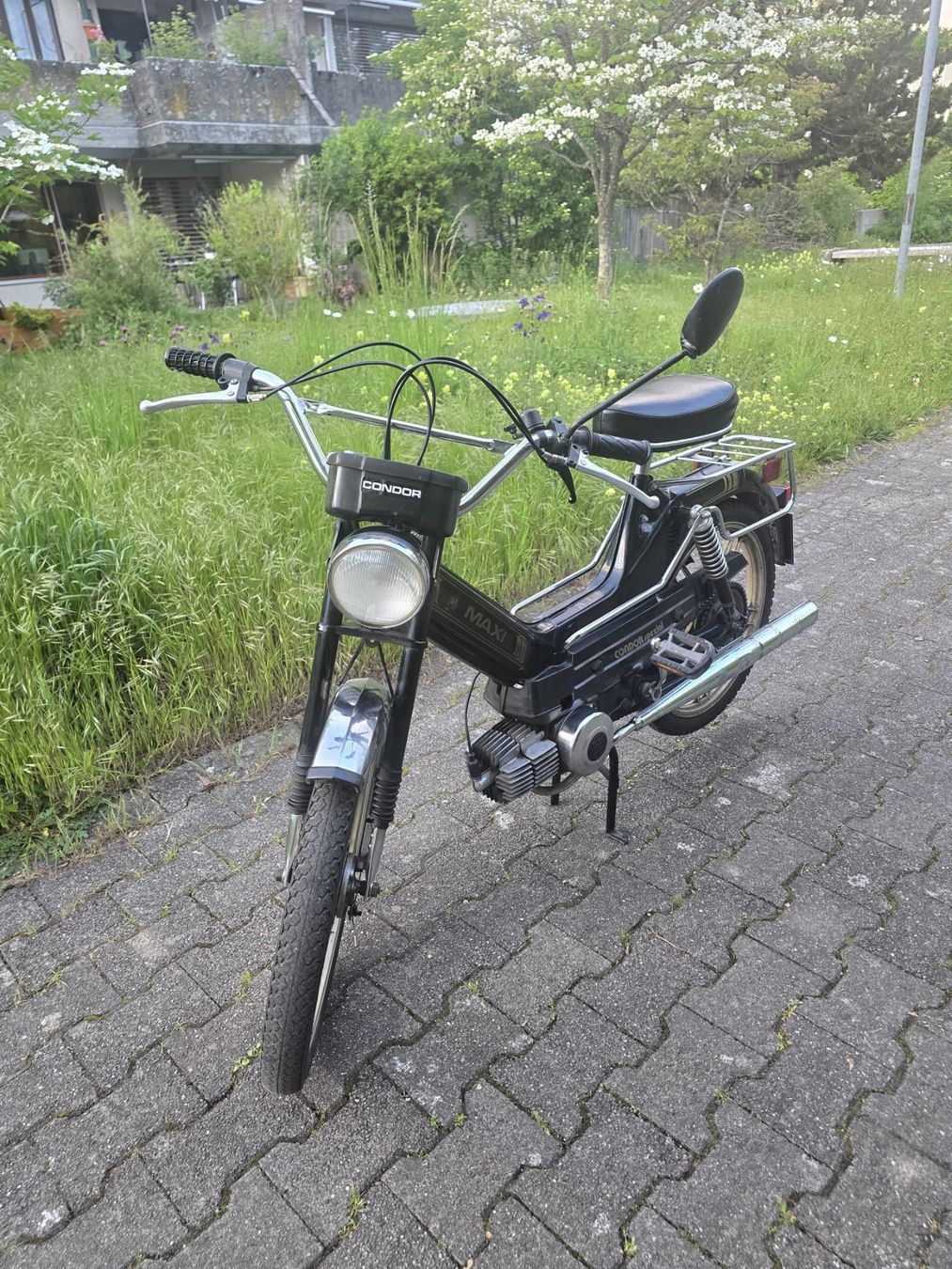 Puch Cyclomoteurs: Puch Maxi S Spezial – D'occasion à Münsingen par sibyg 1