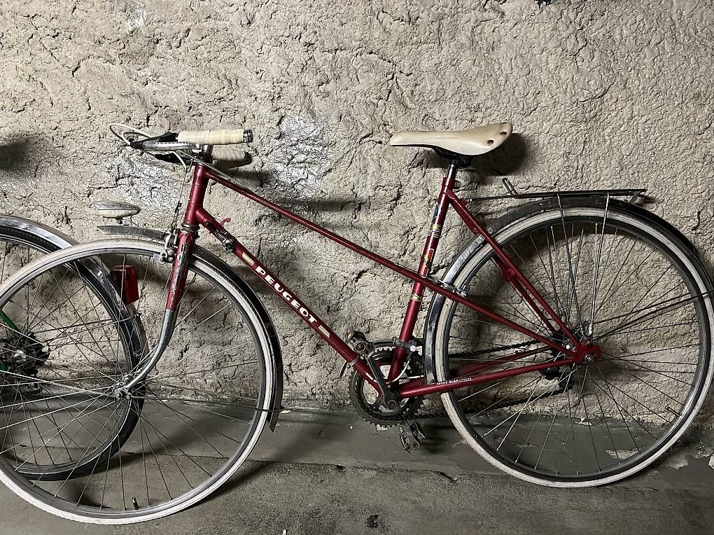 Biciclette: Vélo Peugeot  – Usato da Genève venduto da cfi_ty8q 1
