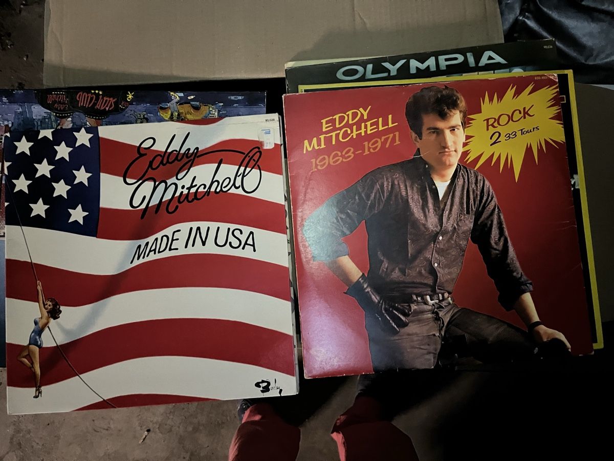 Dischi in vinile: Collection vinyles Eddy Mitchell 33t – Usato da Chambésy venduto da ggr_yg5d 2