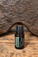 dōTERRA Balance 15 ml – neu & ungeöffnet  Verkaufe eine neue
