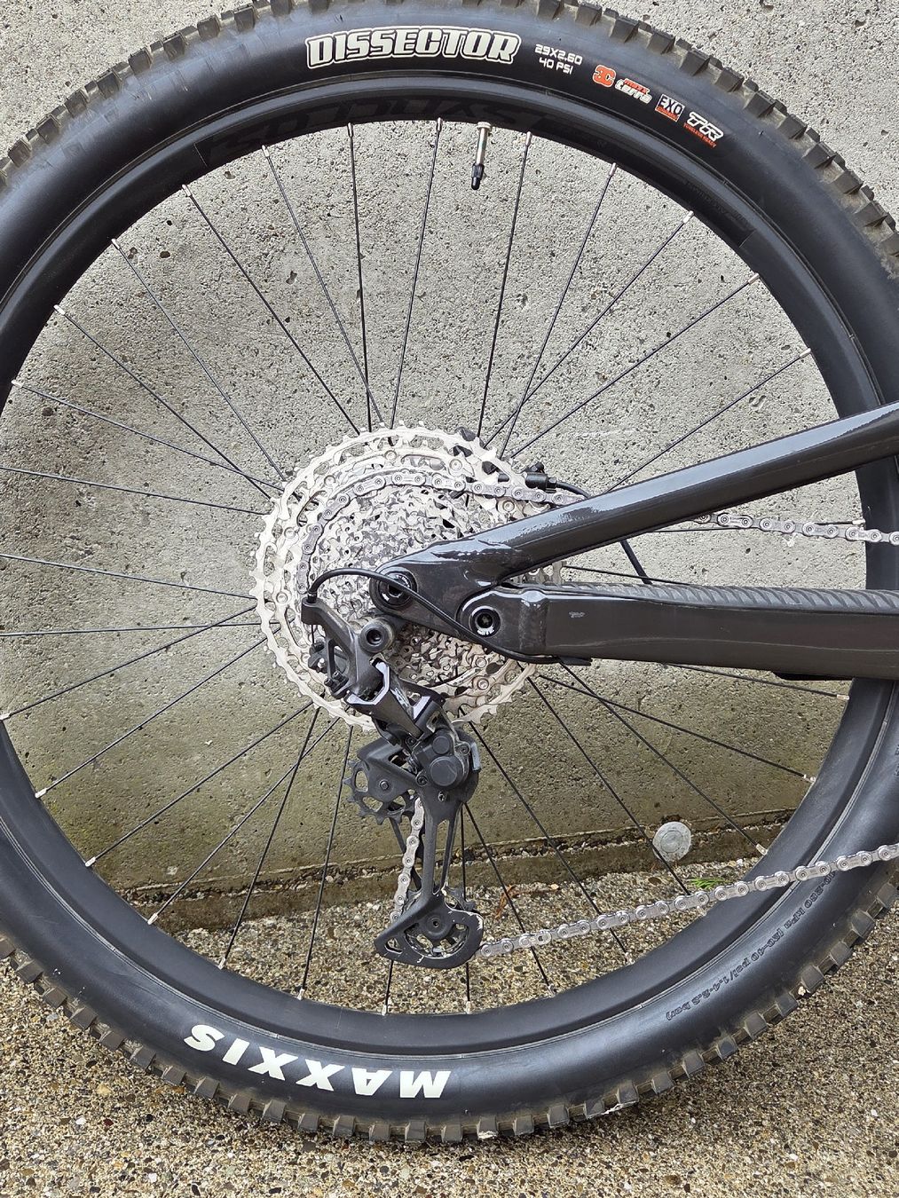 Scott Biciclette: Scott Genius 920 – Usato da Biessenhofen venduto da bri_6fk7 1