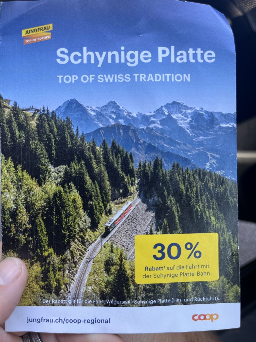 Gutscheine: Schynige Platte 30% Rabatt – Neu (gemäss Beschreibung) aus Madiswil von mutu30