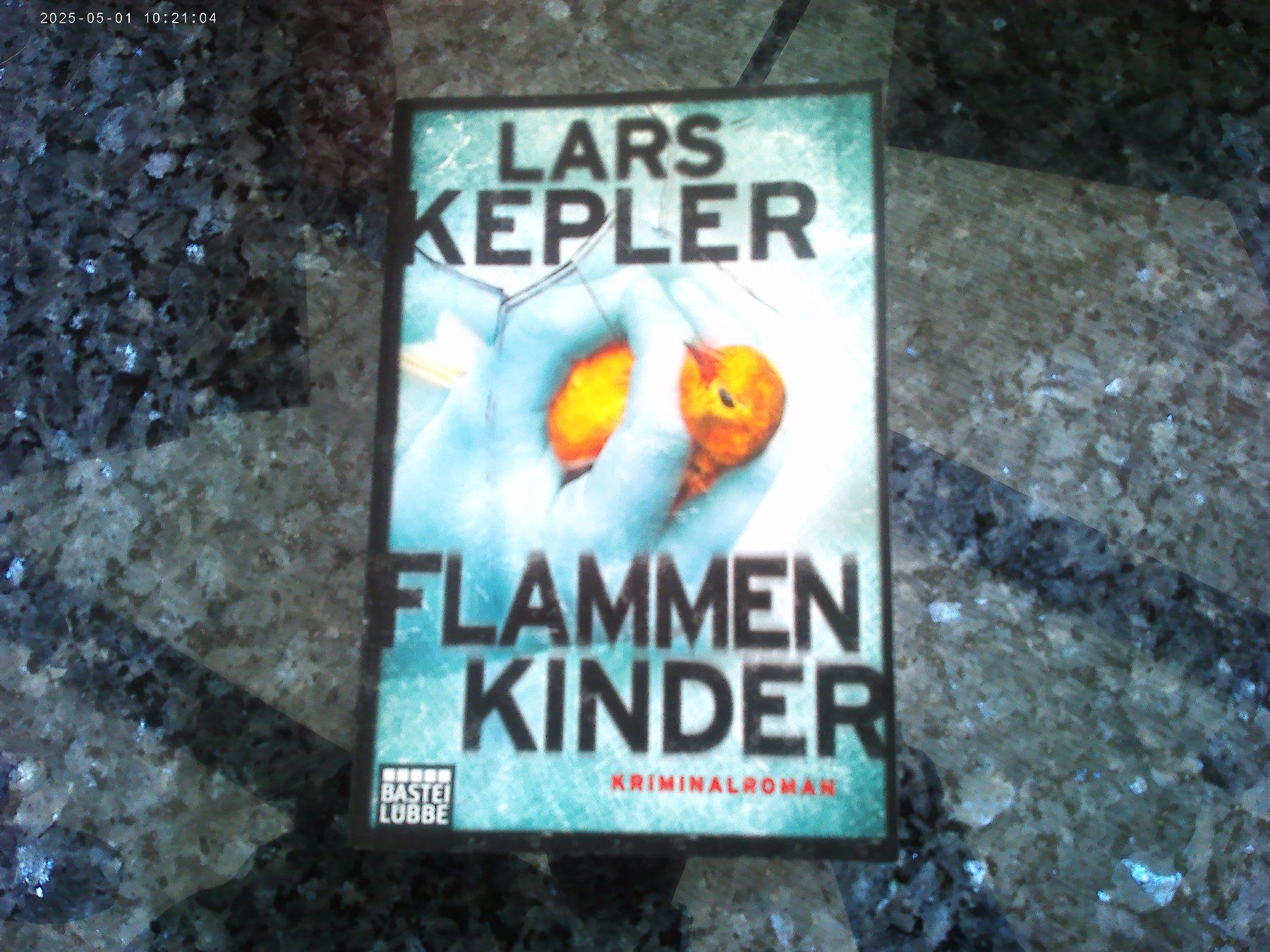 Libri: Flammenkinder von Lars Kepler – Usato da reitnau venduto da Sib7