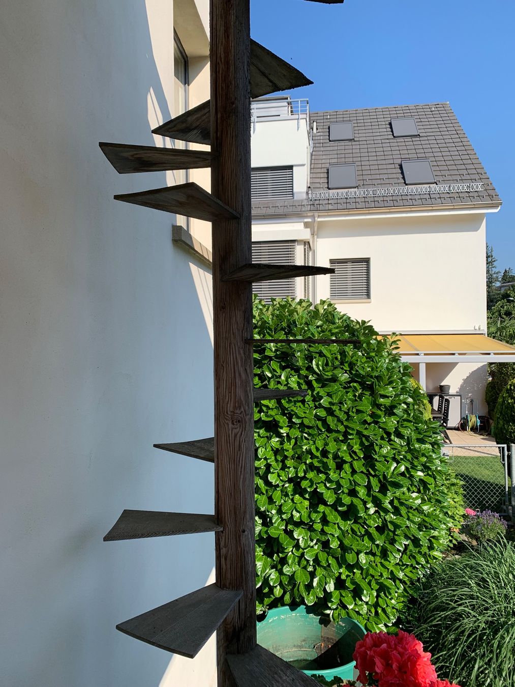 Echelles: Katzenleiter – D'occasion à Zürich par and_8ncw 1