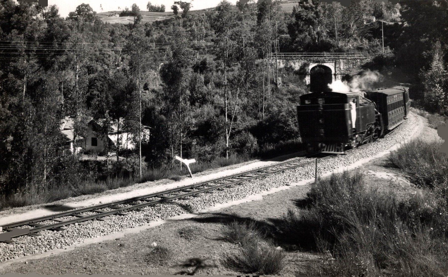 Cartoline postali: Damfzug mit Wagen – Usato da Bronschhofen venduto da Astore