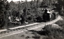Damfzug mit Wagen