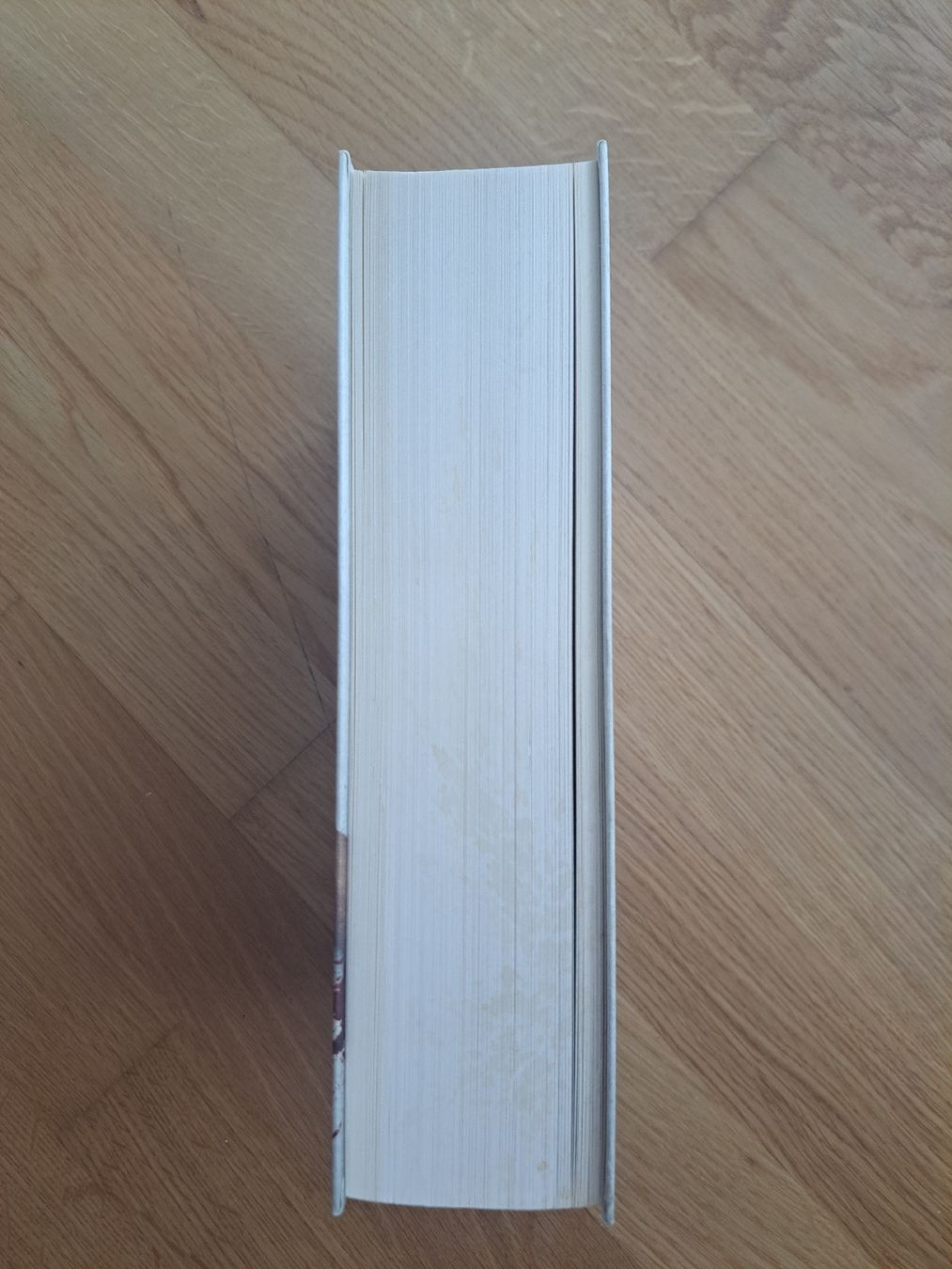 Libri: Odinskind Band 1 von Die Rabenringe – Usato da Wittenbach venduto da _____.lele._____ 2