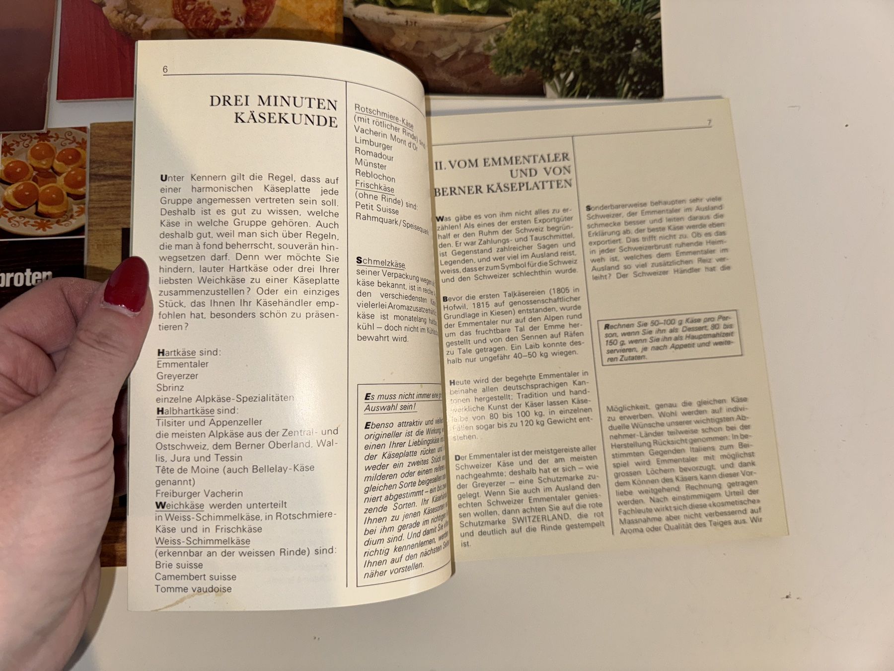 Libri: BÜCHER: Vom Schweizer Käse – Usato da Grosswangen venduto da Second_hand_paradise 4