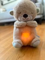 Fisher-Price Snooze Otter