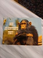 Carte vintage chimpanzé contestataire rare! Les Collons 1971