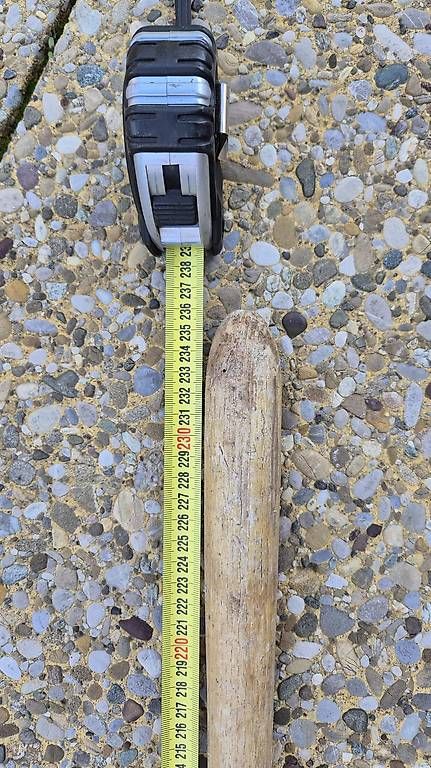 Tutti gli attrezzi: Alte Heugabel  – Usato da Niederbipp venduto da flodur55 1