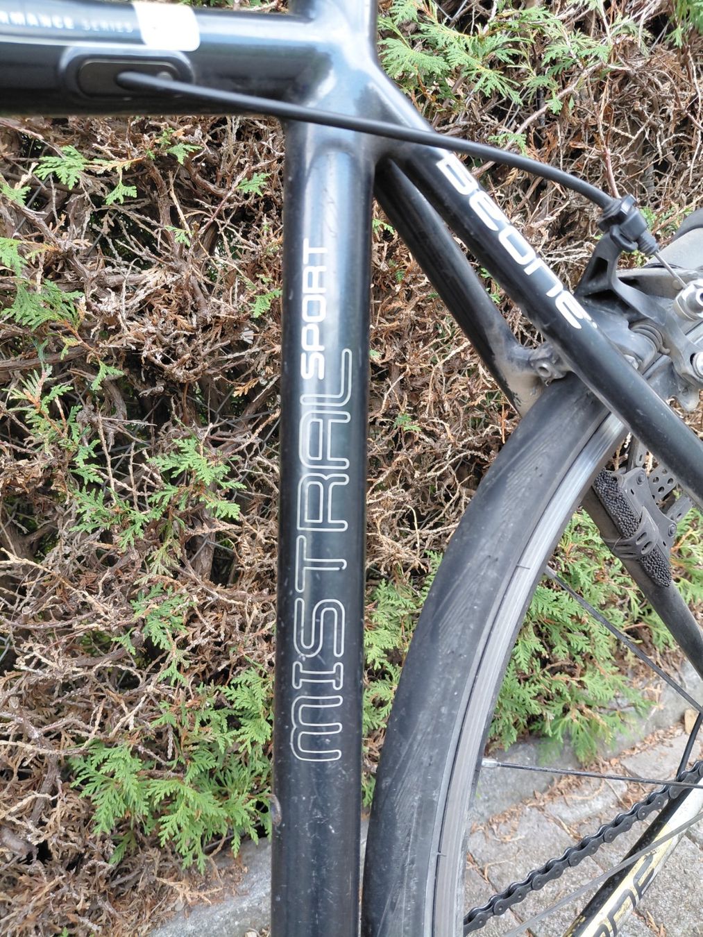 Biciclette: Carbonvelo – Usato da Elsau venduto da Bruno171 5