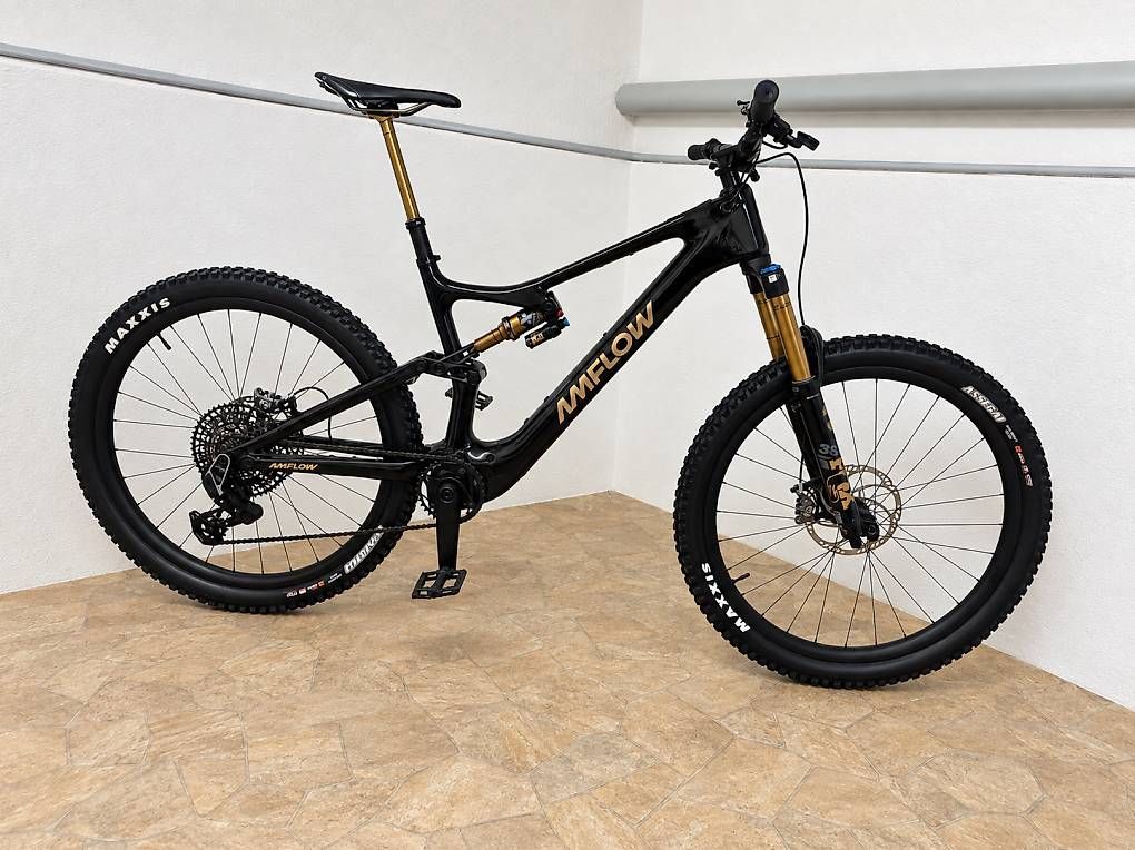 Biciclette: Amflow PL Carbon Pro Neuwertig – Usato da Wallisellen venduto da vs92