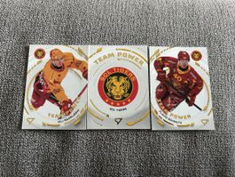 Sportzoo Team power SCL Tigers