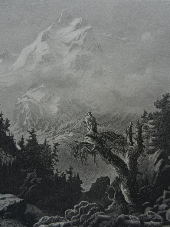 Gravures: Piz Bernina – D'occasion à Risch par Rischli15 5