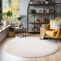 50% Rabatt * XXL Teppich Rund Super Soft 200 cm Grau