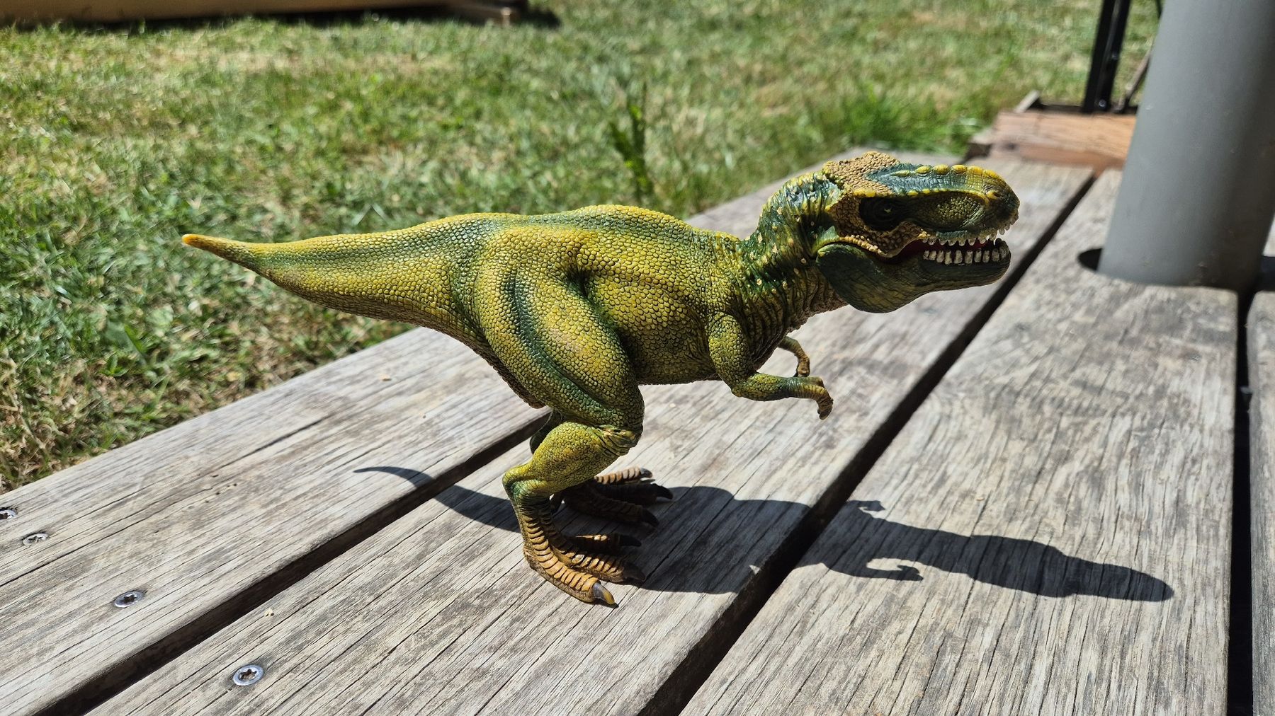 Schleich Spielzeuge: Schleich T-Rex  – Gebraucht aus Wolfhalden von asp_9tgs