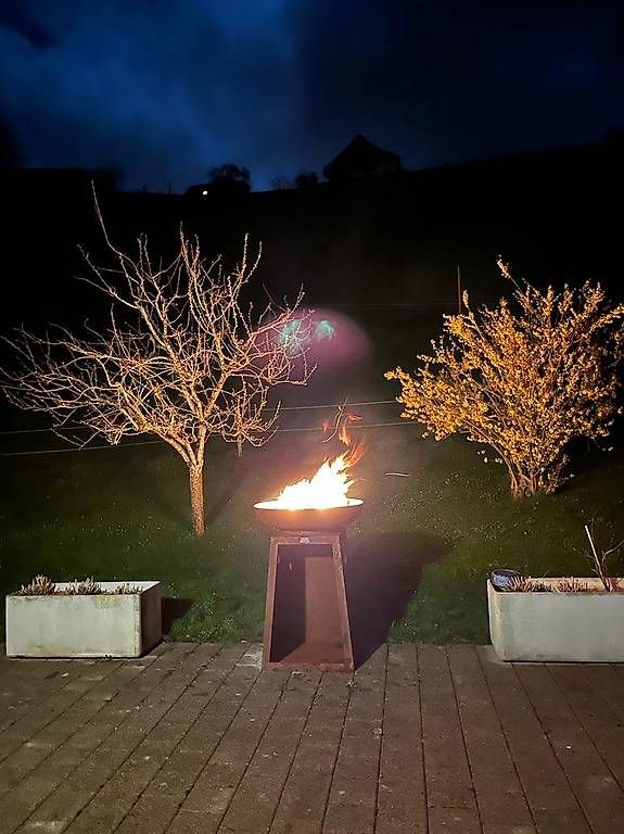 Feuerschale: Feuerschale – Gebraucht aus Siebnen von Aciera 1