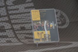 BSC YB Rarität - Tornetzstück vom Cupfinal 2023 (15/15)