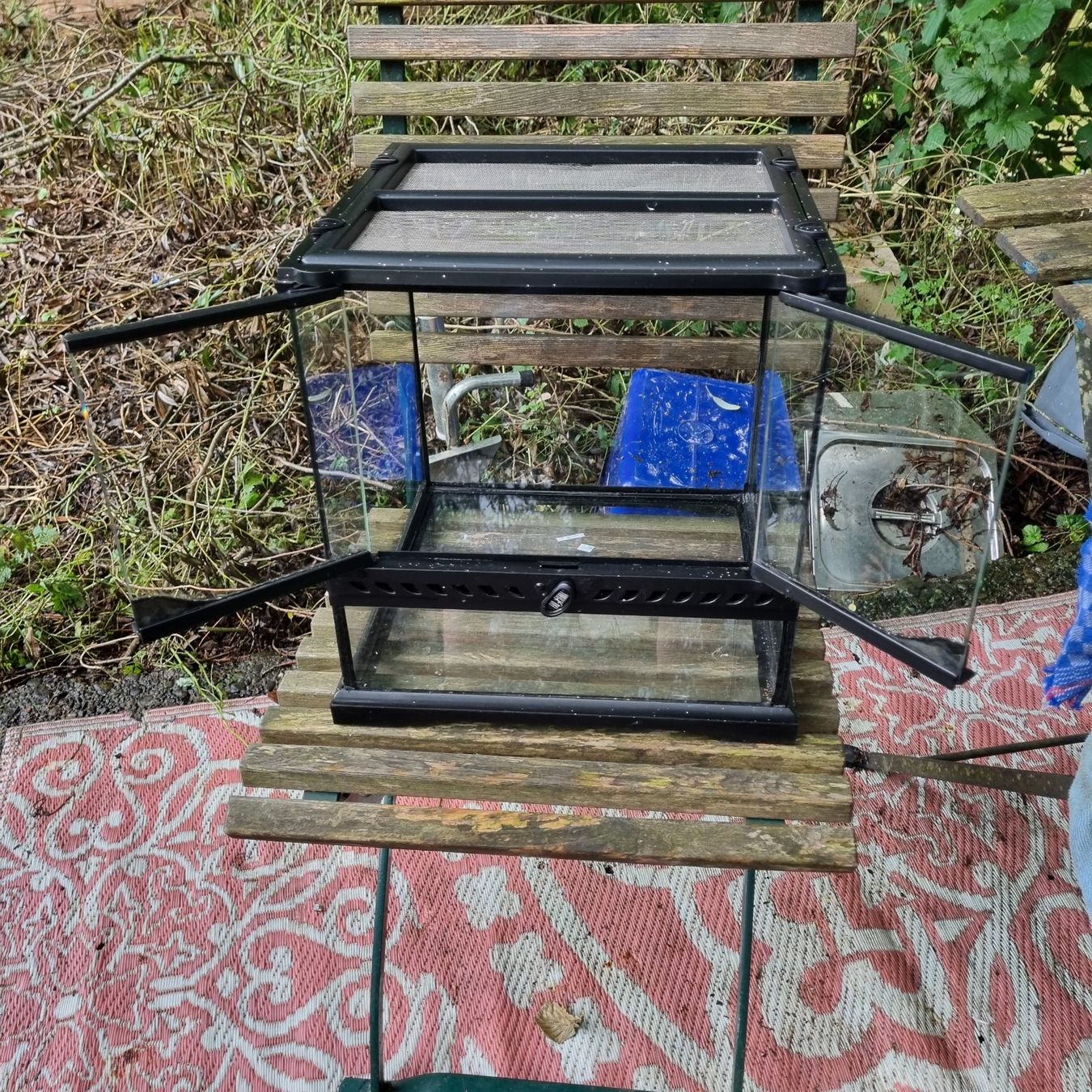 Exo terra Terrario: Terrarium Glas – Usato da Freienstein venduto da anj_2mvz 1