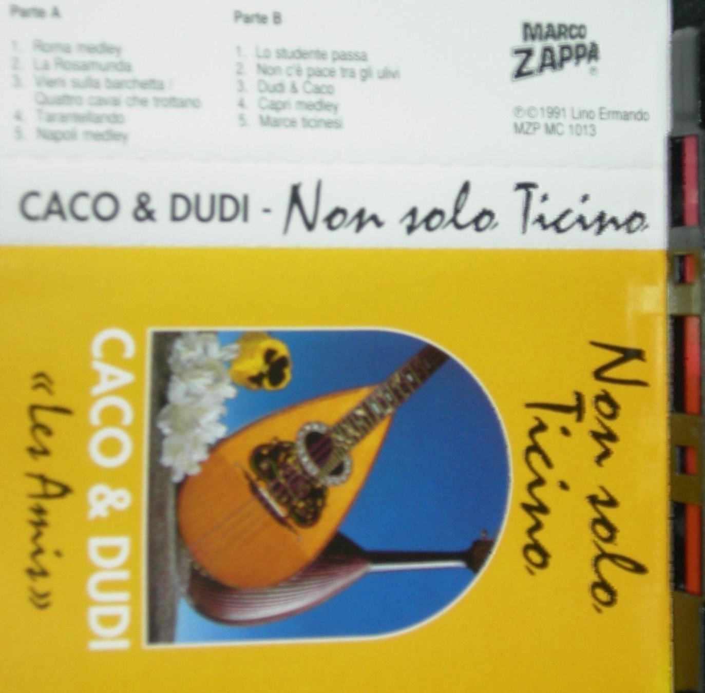 Musicassette: NON SOLO TICINO MC.Cassette – Nuovo e nell'imballaggio originale da Ascona venduto da he9fabus 4