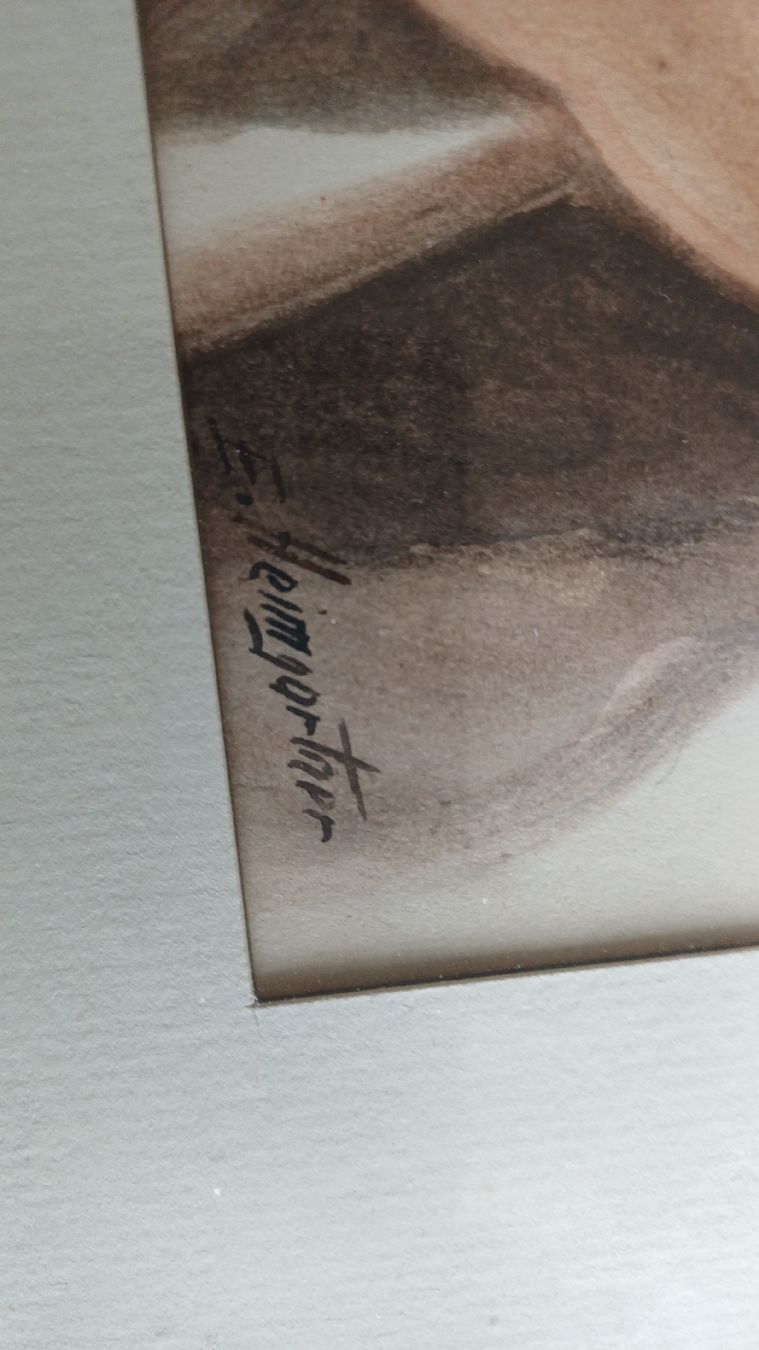 Foto & Immagini: Bild von Elisabeth Heimgartner – Usato da Flawil venduto da Naphtali 5