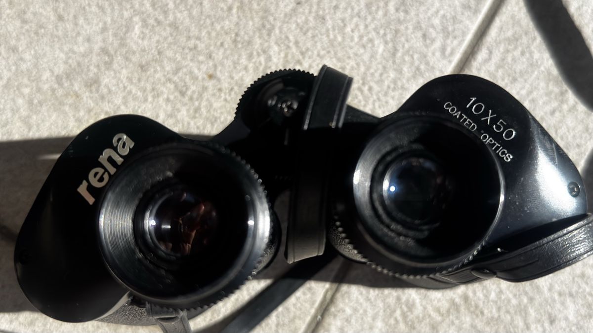 Feldstecher: feldstecher, rena, coated optics, 10x50 – Gebraucht aus sargans von lnoa 4