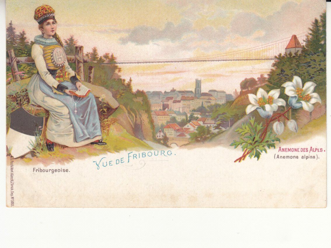 Cartoline postali: Fribourg ca. 1900 – Usato da Bürglen TG venduto da StampGraf