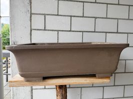 Grosse Bonsaischale 57 cm  gestempelt  Yixing/Zisha-Stil