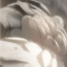 Profile image of aerhead