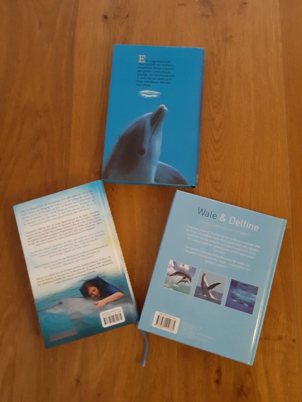 Bücher: 3 Delfin Bücher – Gebraucht aus Schmitten FR von ReniStern 1