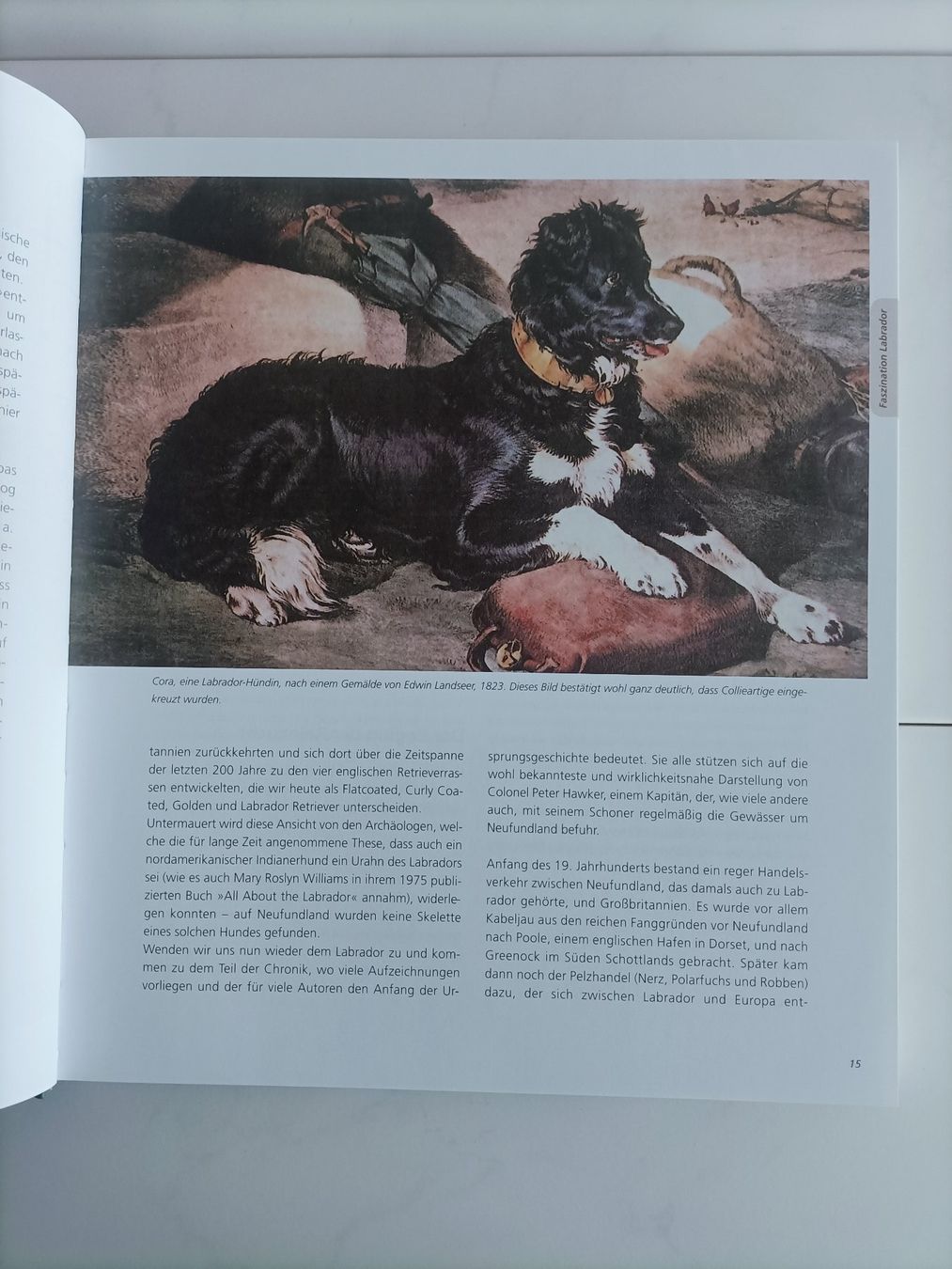 Bücher: Labrador Retriever / Rosemarie Wild / Muller 2011 – Gebraucht aus crans montana von AB3963 2