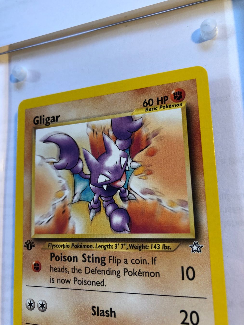 Carte collezionabili: Gligar 1st Neo Genesis - MINT - ab 1.- – Usato da Giubiasco venduto da dan_pr8b 3