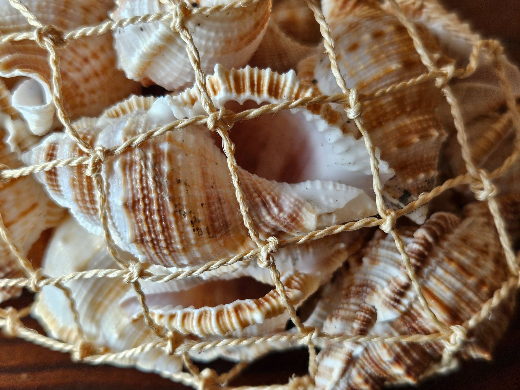 Tutte le decorazioni: Muschelsack, Sommer Dekoration – Nuovo e nell'imballaggio originale da Maseltrangen venduto da Chrusli7 2